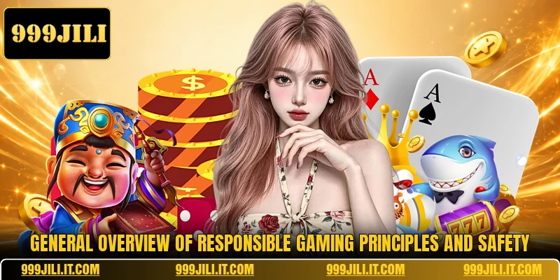 General overview of Responsible Gaming principles and safety